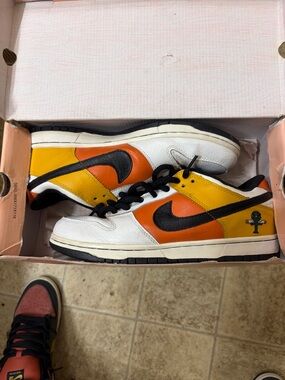 Nike dunk sb (raygun)